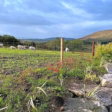 Attymchugh * COUNTY MAYO